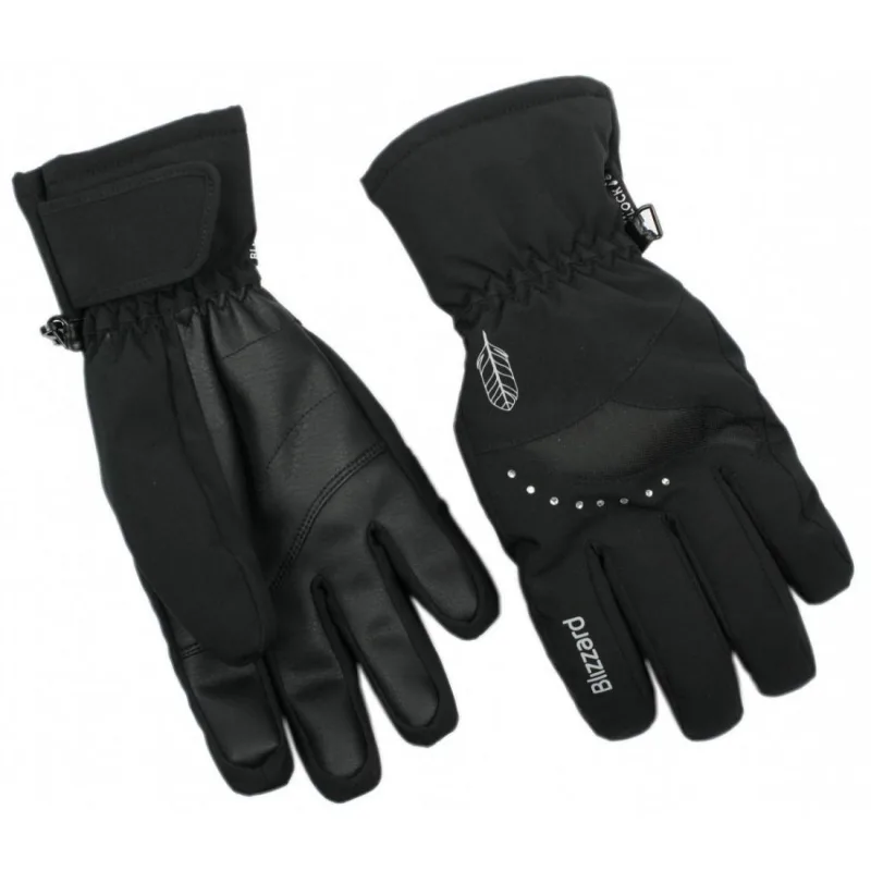 Sjezdové rukavice Blizzard Viva Davos 2022/23 black