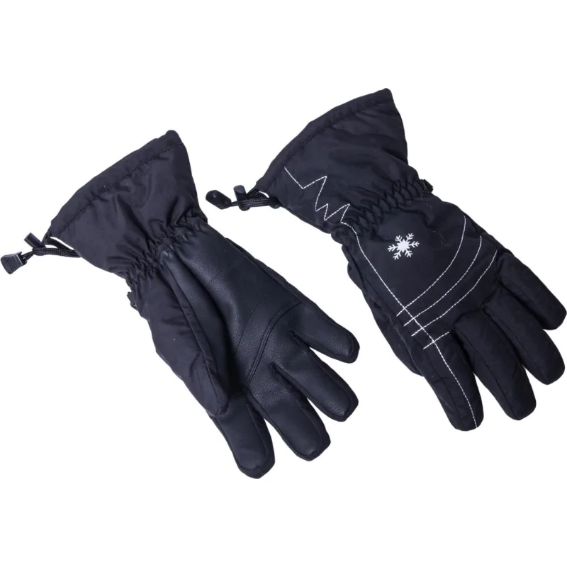 Sjezdové rukavice Blizzard Viva Echo 2017/18 black/silver