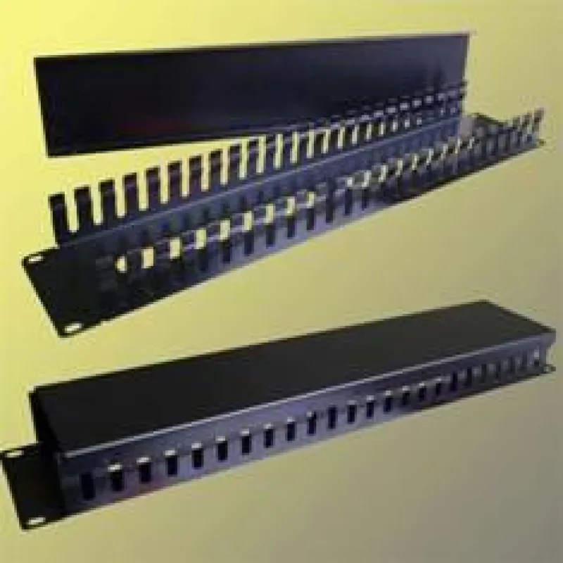 OEM Vyvazovací panel 19" 2U kov Lišta Průchozí černý 9652