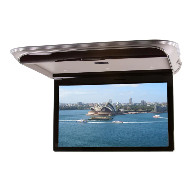 Stropní LCD monitor 19,5" s OS. Android USB/HDMI/IR/FM, dálkové ovládání se snímačem pohybu, šedá ds-195Acgr