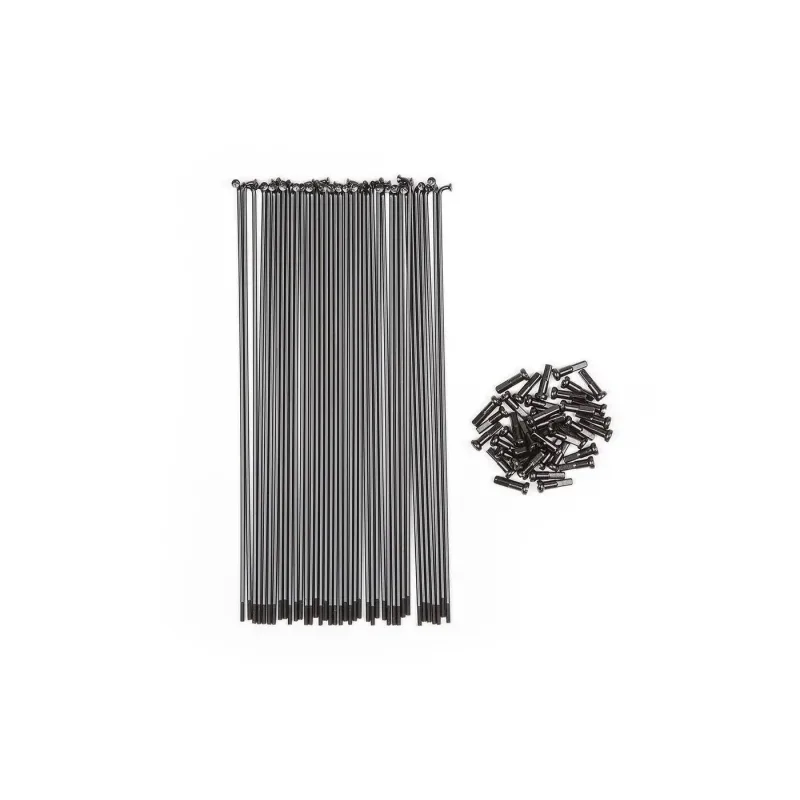 BSD Stainless Butted BMX Paprsky (186mm|Černá)