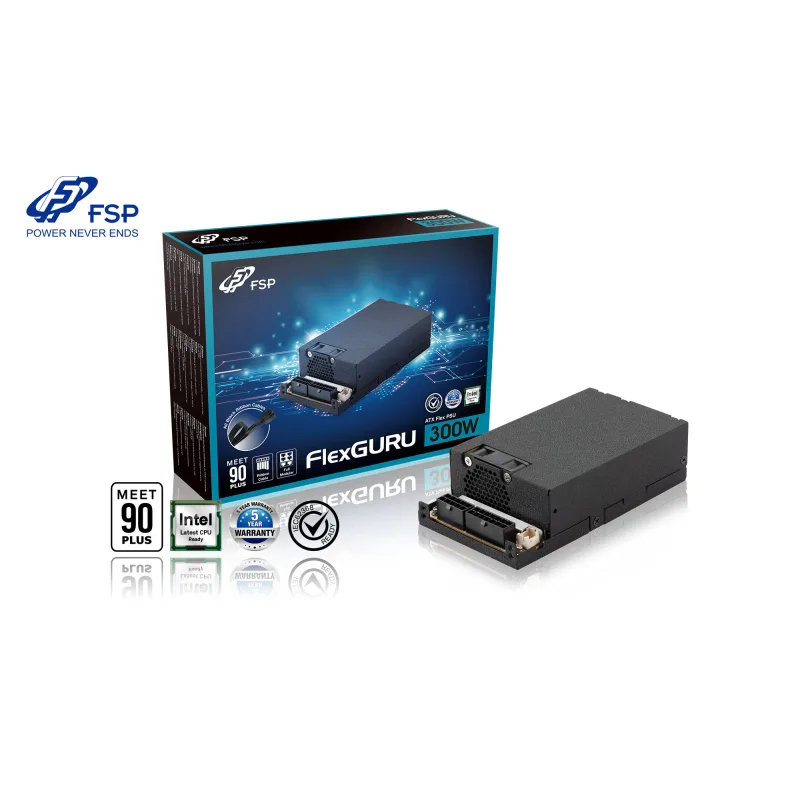 FSP ATX FlexGURU/300W/Flex/80PLUS Gold/Modular/Retail PPA3004300