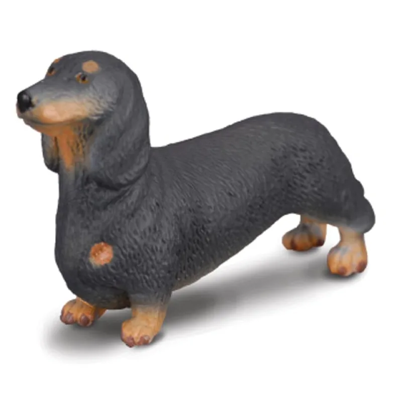 Collecta Jazvečík
