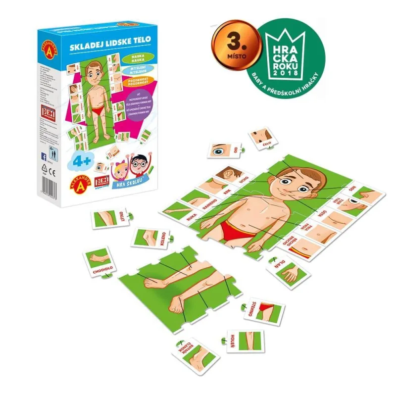 PEXI Play School® - Skladanie ľudského tela