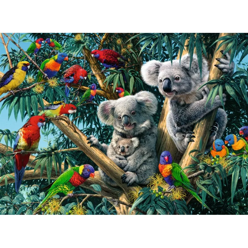 Ravensburger Koaly na strome 500 dielikov