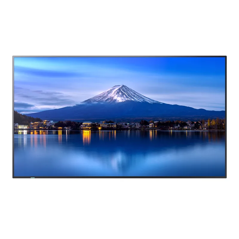 SHARP/NEC 65" LED SHARP P656,3840 x 2160,IPS,24/7,700cd 60006061