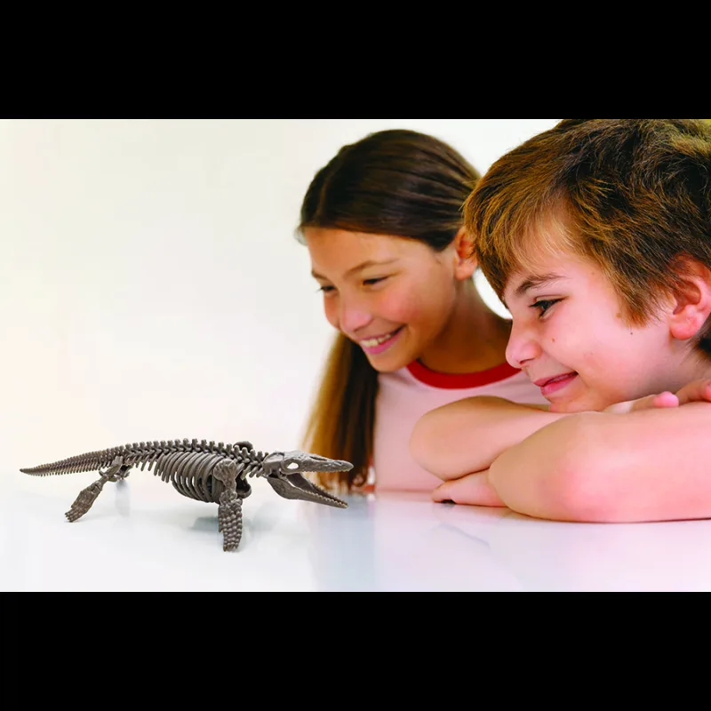 4M Mac Toys Kostra - Mosasaurus