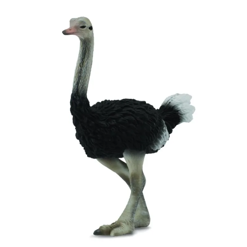 Collecta zvieratká Collecta figúrka - Pštros