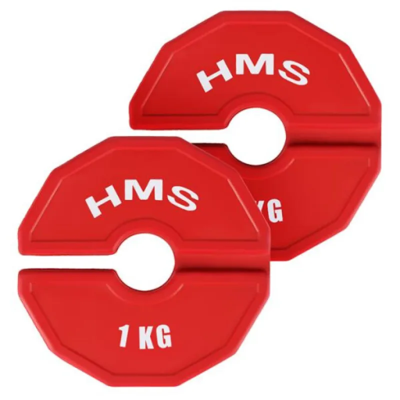 Progresivní přídavné kotouče HMS TSN100, 2x1 kg