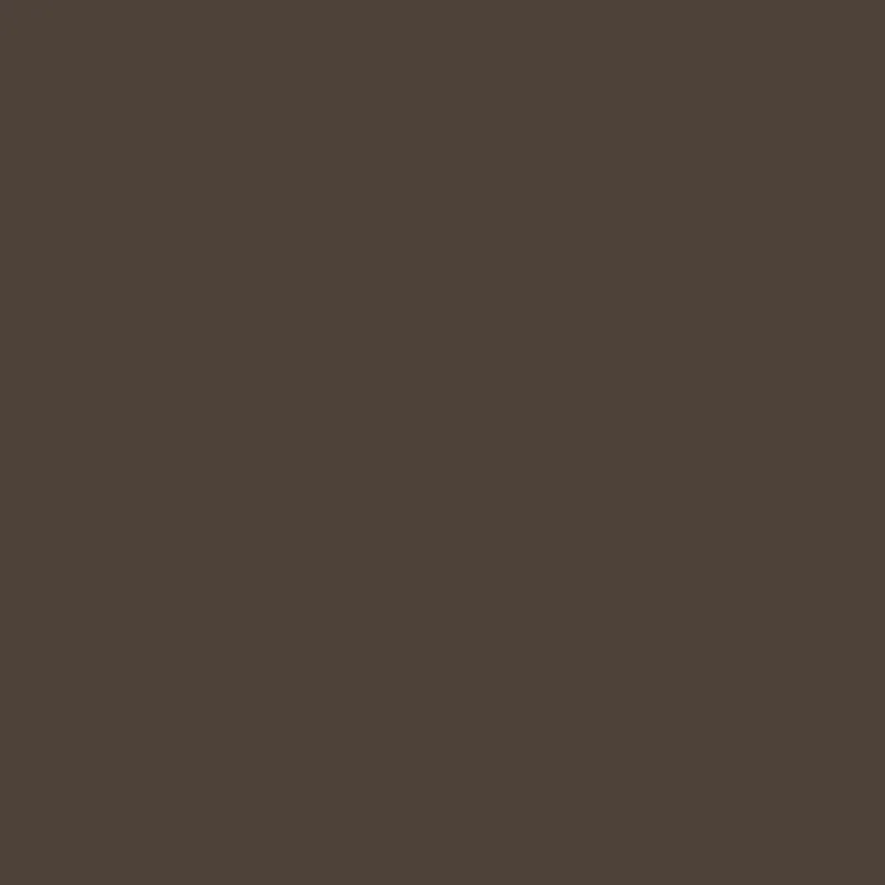 Italeri farba akryl 4858AP - Flat Brown 383 20ml
