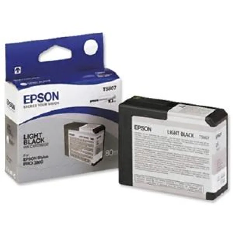 Epson T580 Light Black (80 ml) C13T580700