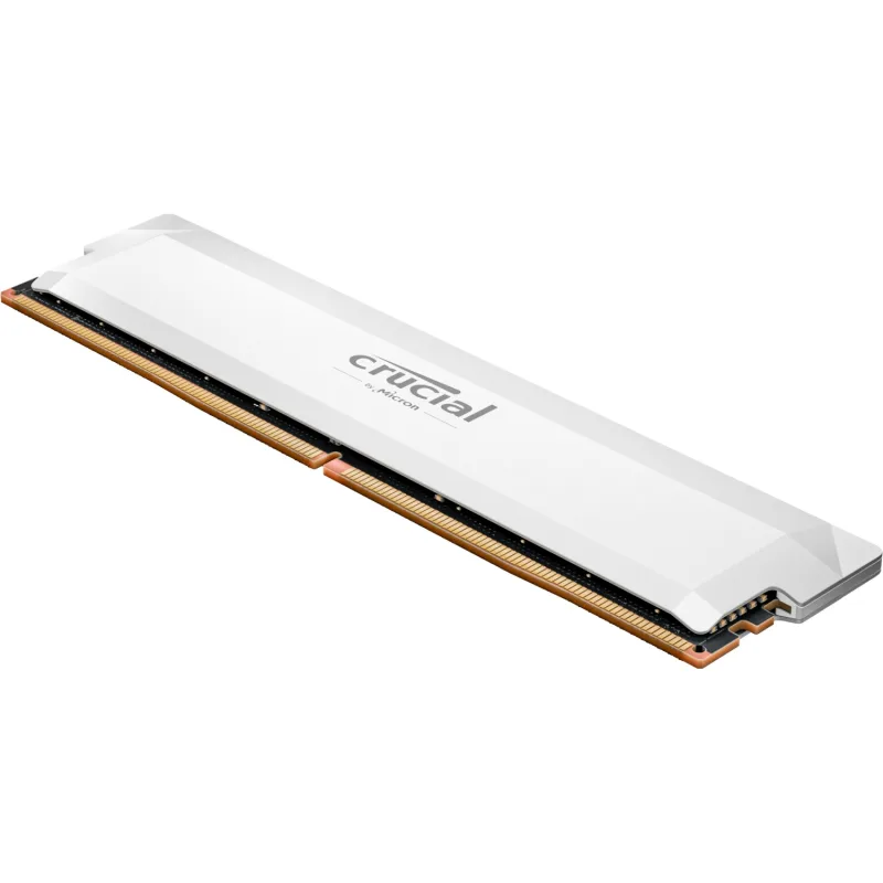 Crucial Pro OC/DDR5/16GB/6000MHz/CL36/1x16GB/White CP16G60C36U5W