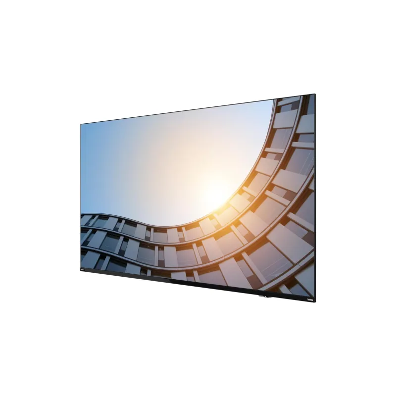 Lenovo ThinkVision E65 64,5"/16:9/3840x2160/8ms 64ACGAT1EK