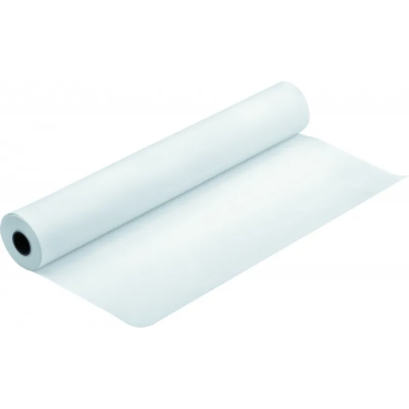 EPSON Water Color Paper - Radiant White Roll, 44" x 18 m C13S041398