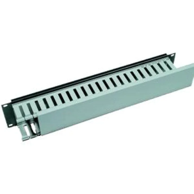 TRITON Vyvazovací panel 2U 19" s plastovým kabelovodem RAB-VP-X04-A1
