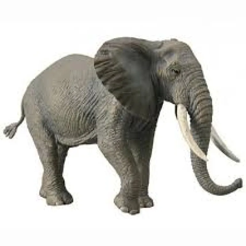 Collecta Mac Toys COLLECTA Slon africký
