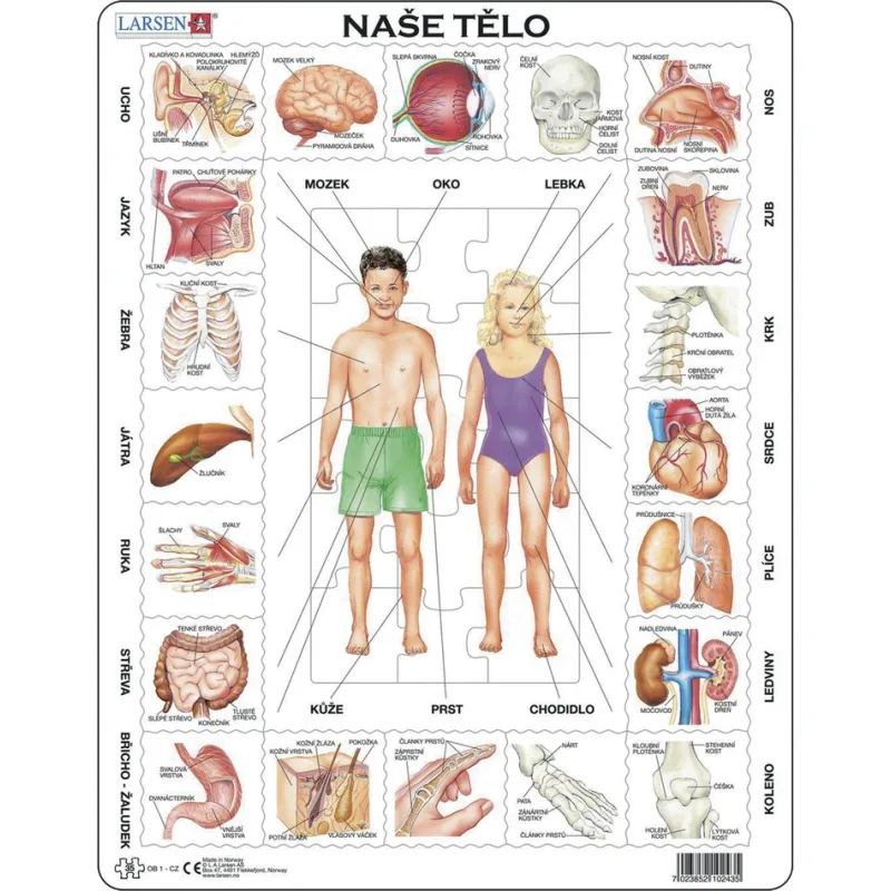Deskové vzdělávací puzzle Larsen Naše tělo 35 dílků