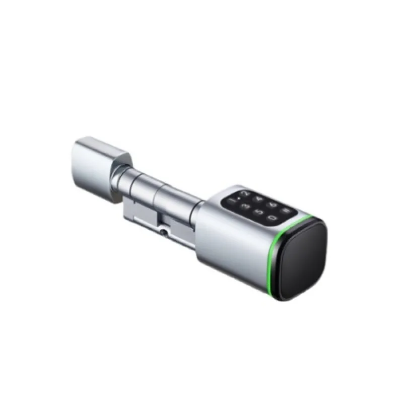 Inteligentný dverový vložka/zámok s RFID, PIN a TUYA | Zoneway S1K strieborný