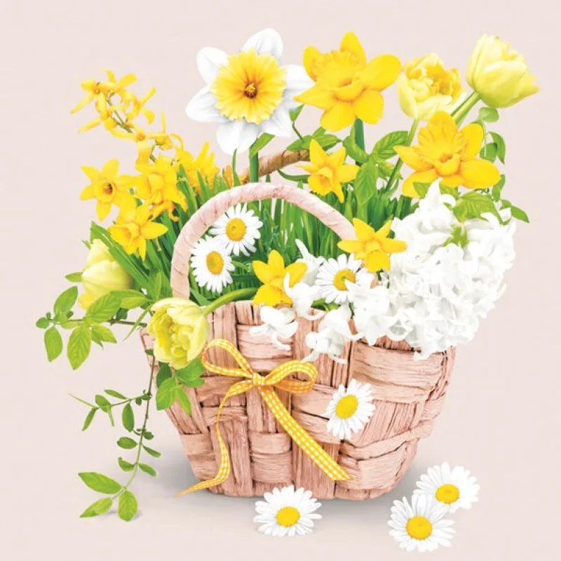 DAISY obedové obrúsky Everyday 33x33cm SD WI 007401 20ks