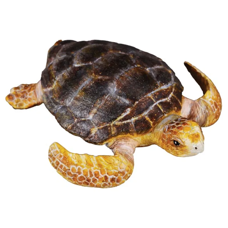 Collecta zvieratá Collecta korytnačka