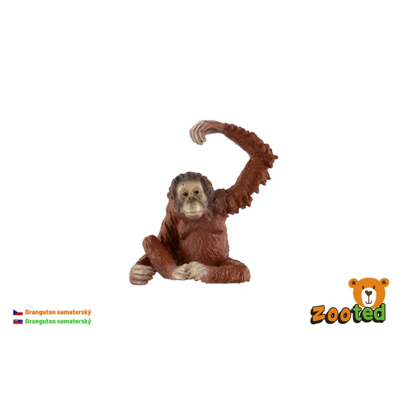ZOOted Orangutan sumatriansky zooted plast 8cm