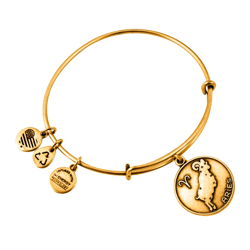 Dámsky Náramok ALEX AND ANI A13EB01ARRG (19-25CM )