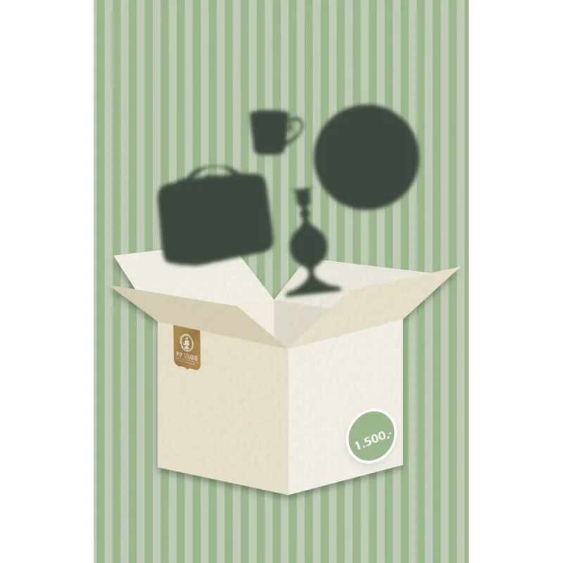 Pip Studio Mystery Box