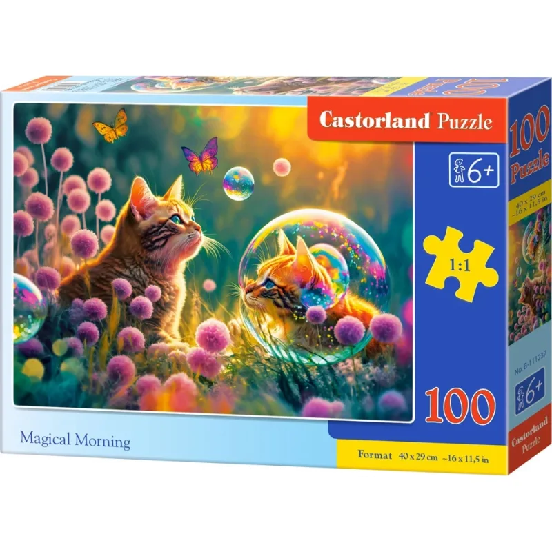 Castorland Puzzle Kúzelné ráno 100 dielikov