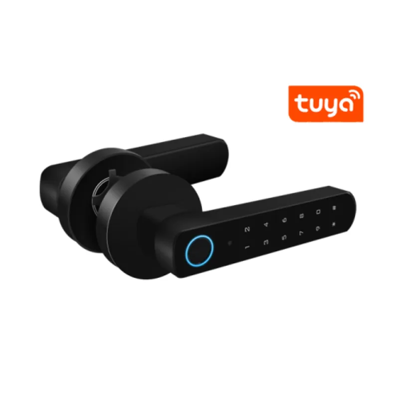 Chytrý dveřní zámek/klika |Zoneway D100-BT