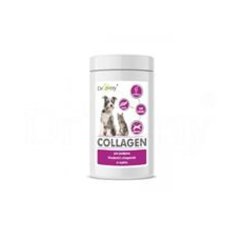 Dromy Collagen pro psy 60 tbl. - exp. 2/26 - 1 ks skladem