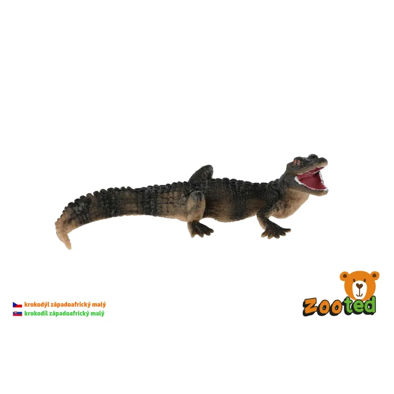 ZOOted Krokodíl západoafrický malý zooted plast 11cm