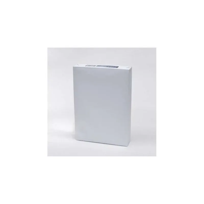 Papier Symbio Copy 80g, A4 5x 500 listov (kartón) (308359)