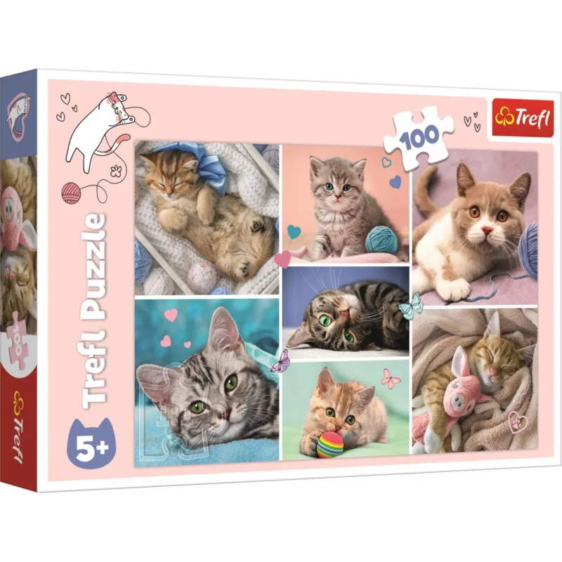Trefl Puzzle V mačacom svete 100 dielikov