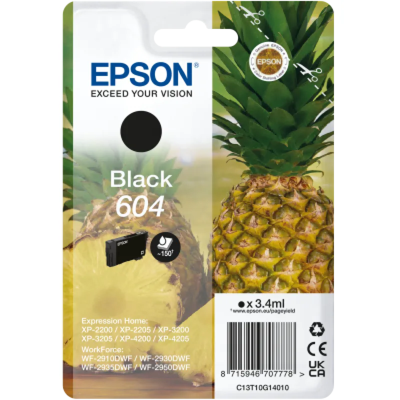 EPSON Singlepack Black 604 Ink C13T10G14010