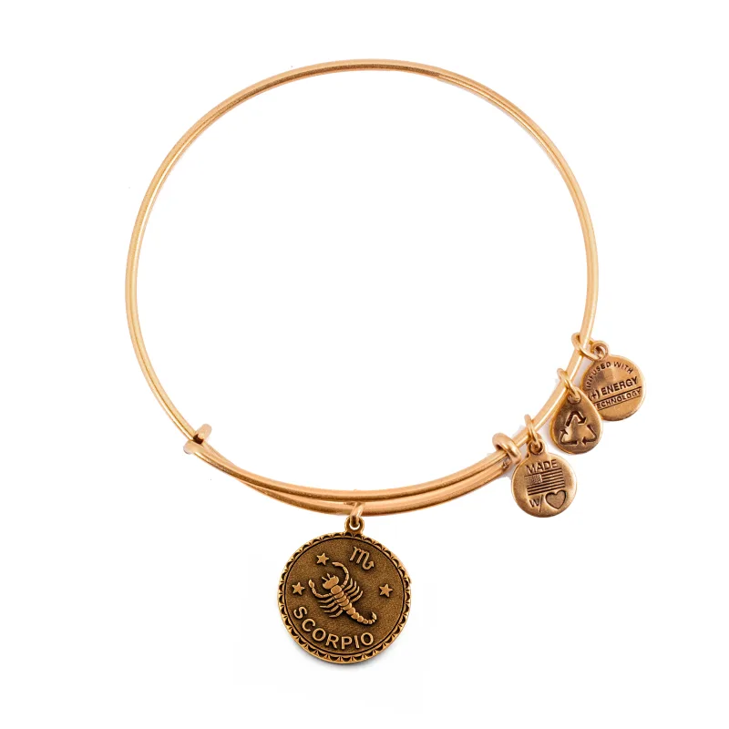 Dámsky Náramok ALEX AND ANI A07EB40SCRG (19-25CM )