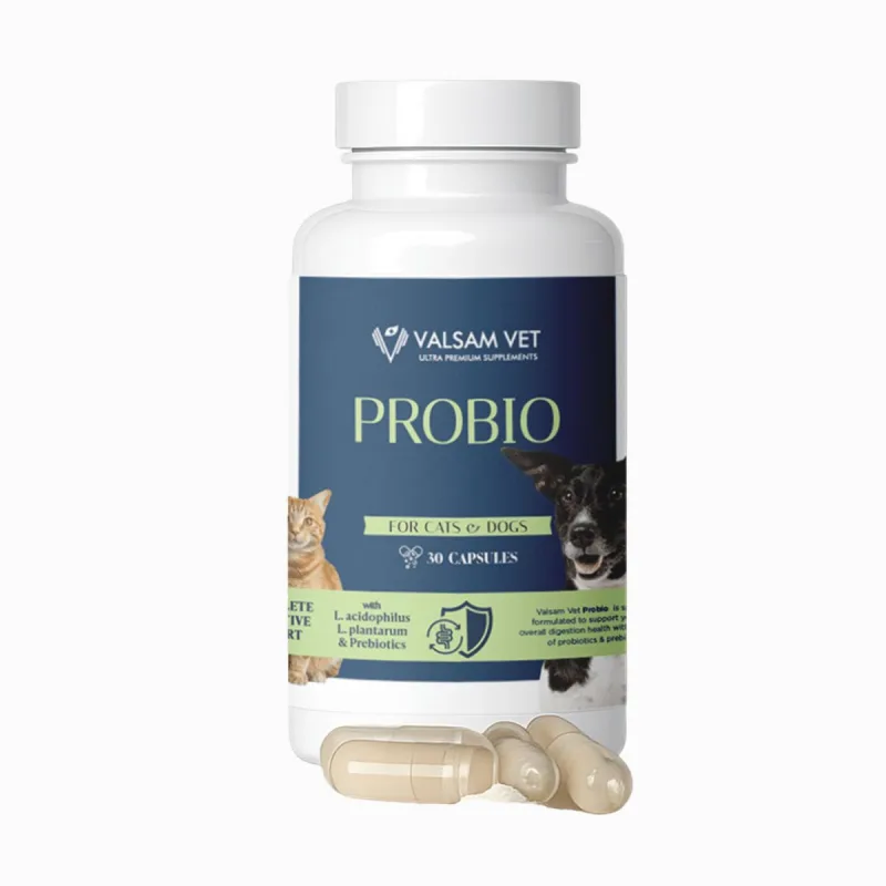 Valsam Vet PROBIO - probiotiká a prebiotiká pre psy a mačky 30 kapsúl -