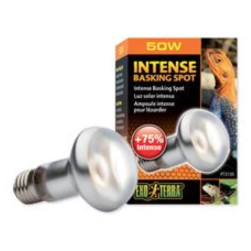 Žárovka EXO TERRA Intense Basking Spot 50 W