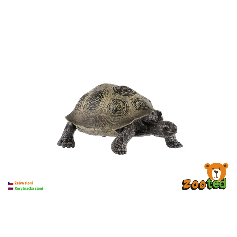 ZOOted Korytnačka slonia zooted plast 8cm