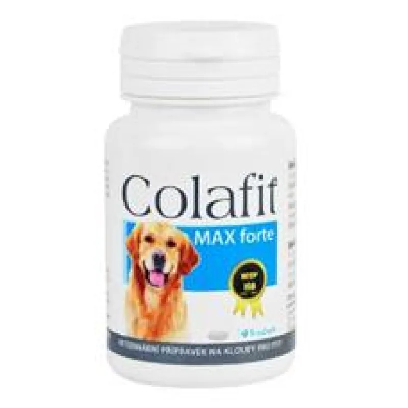 Colafit 4 Max Forte 100tbl - exp. 04/26 - 6 ks skladem