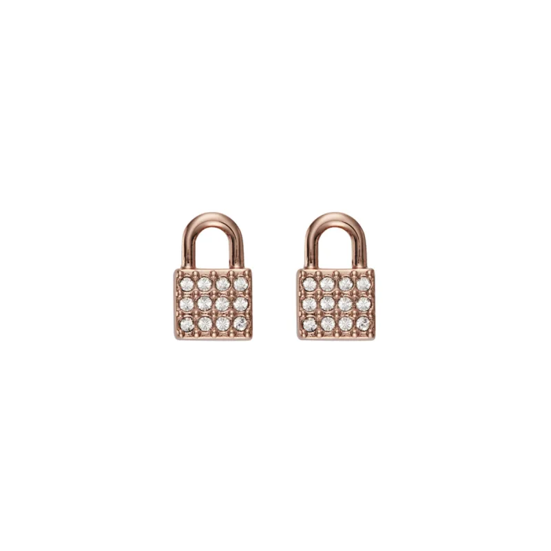 Dámske Náušnice DKNY 5520121 (1CM )