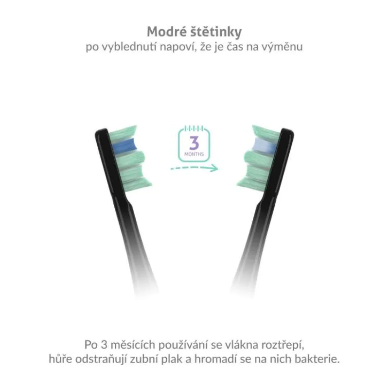 TrueLife SonicBrush Clean-series heads Standard black 8 pack (TLATAC70UVNBACHSTB8)