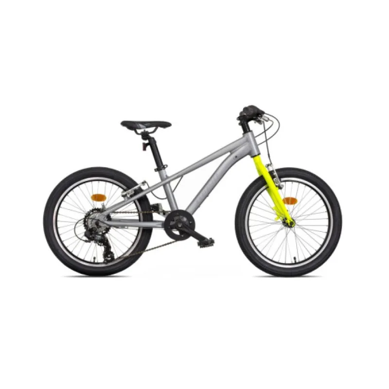 Mayo Dětské jízdní kolo 20" EGO FIT V, 7spd 2026 stříbrno-zelené