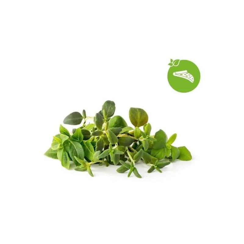 Smart Garden Mix Talianských bylín 3-pack (PCW-079)