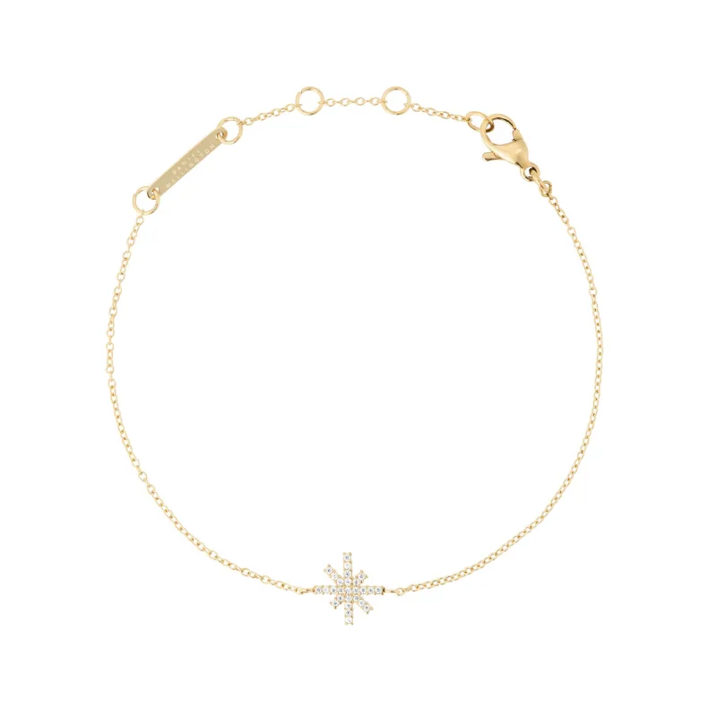 Daniel Wellington dámsky náramok z ocele Mirelle Star DW00401623