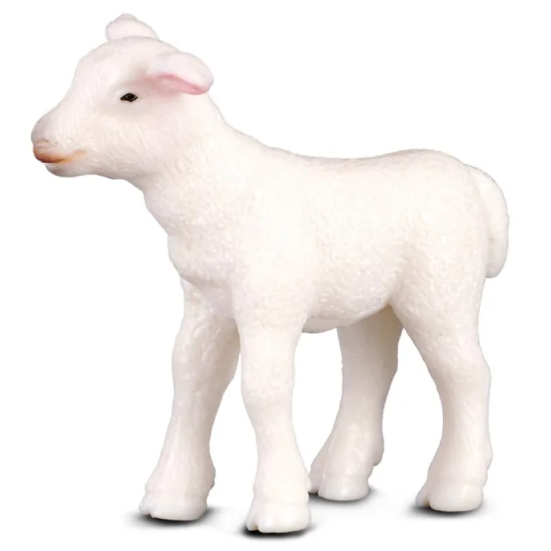 Collecta COLLECTA Jahňa