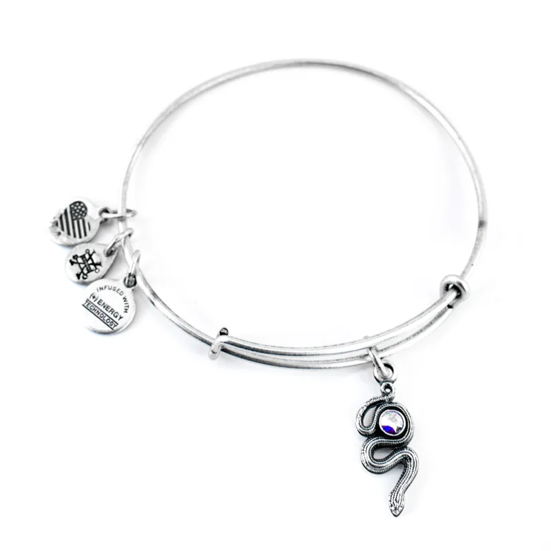 Dámsky Náramok ALEX AND ANI A16EB68RS (20CM )