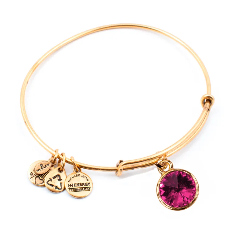 Dámsky Náramok ALEX AND ANI A12EB249RG (19-25CM )