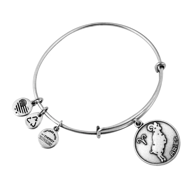 Dámsky Náramok ALEX AND ANI A13EB01ARRS (19-25CM )