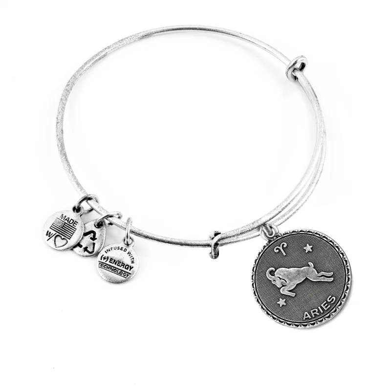 Dámsky Náramok ALEX AND ANI A07EB40ARRS (19-25CM )