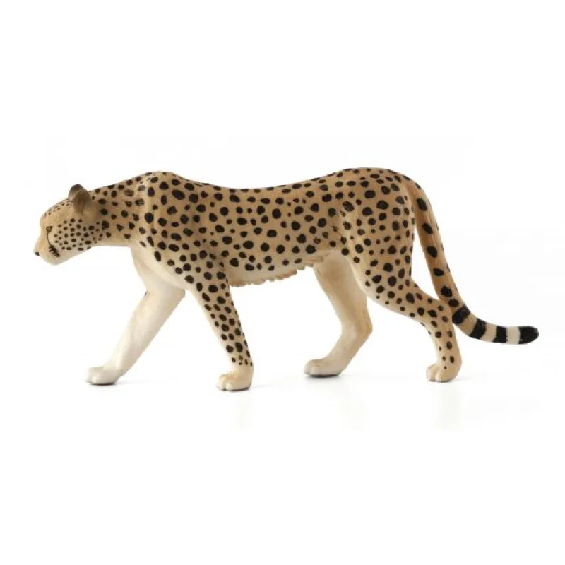 Mojo Mojo Gepard